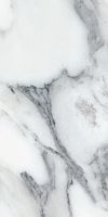 Origines Argent Matte 12 x 24